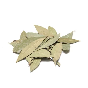 laurel